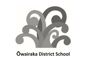 School logo 13